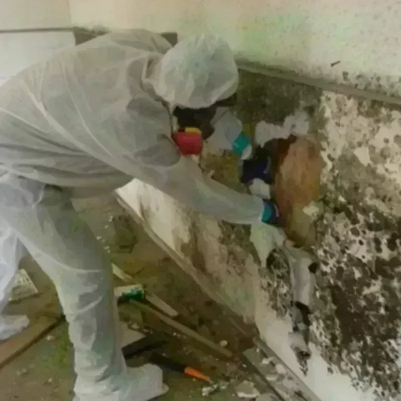 Mold Remediation and Removal in Kings Bay Base, GA